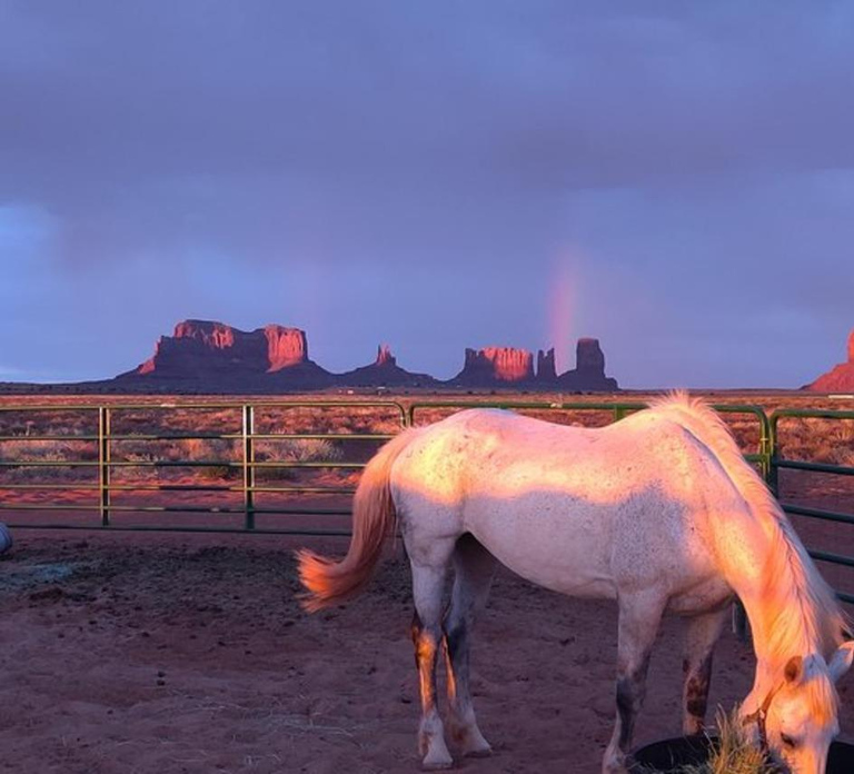 Monument Valley: Horseback Adventure Tour