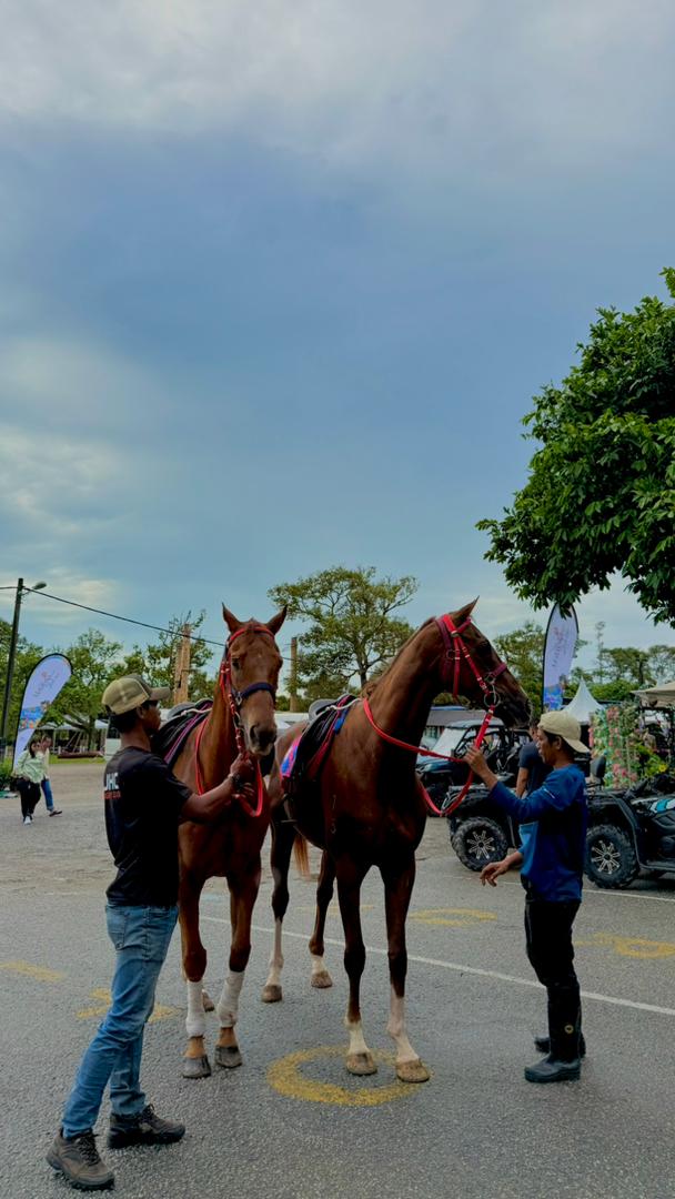 Desaru Fruit Farm Horse Riding Experience - HolidaySG