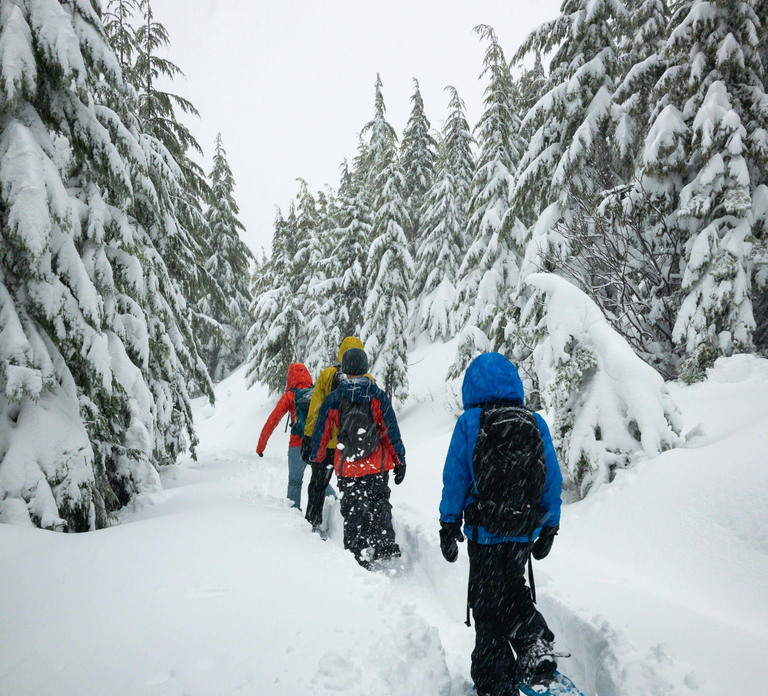 Chamonix: Snowshoe Walk Under the Stars with a Private Guide