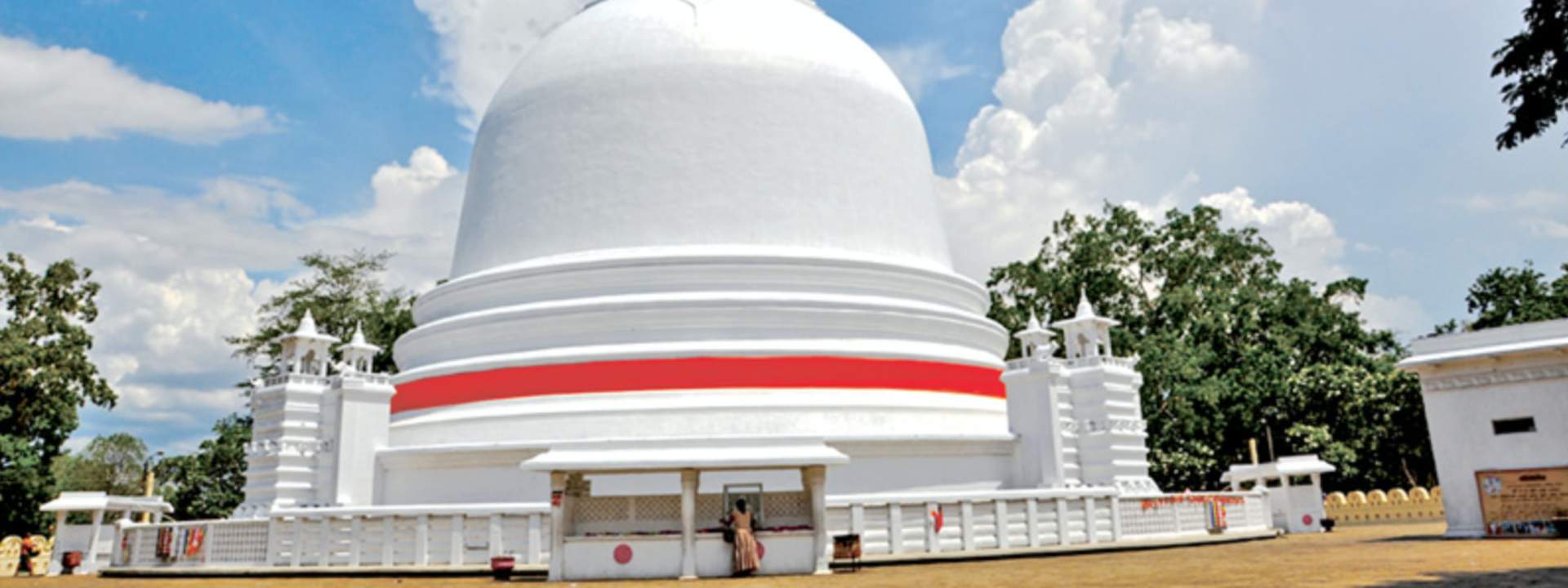 Waterfalls, Tea Plantation, and Ancestors Village Day Tour from Kandy - HolidaySG