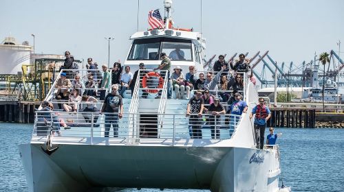 Long Beach: Whale and Dolphin Watching Cruise Day Tours