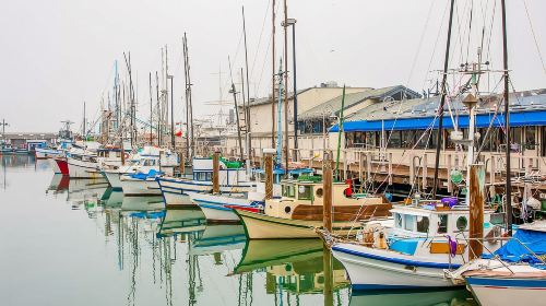 San Francisco: Alcatraz, Fisherman’s Wharf & Optional Extras Day Tours