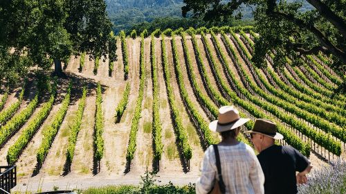 Napa and Sonoma Wine Country Full-Day Tour from San Francisco Day Tours