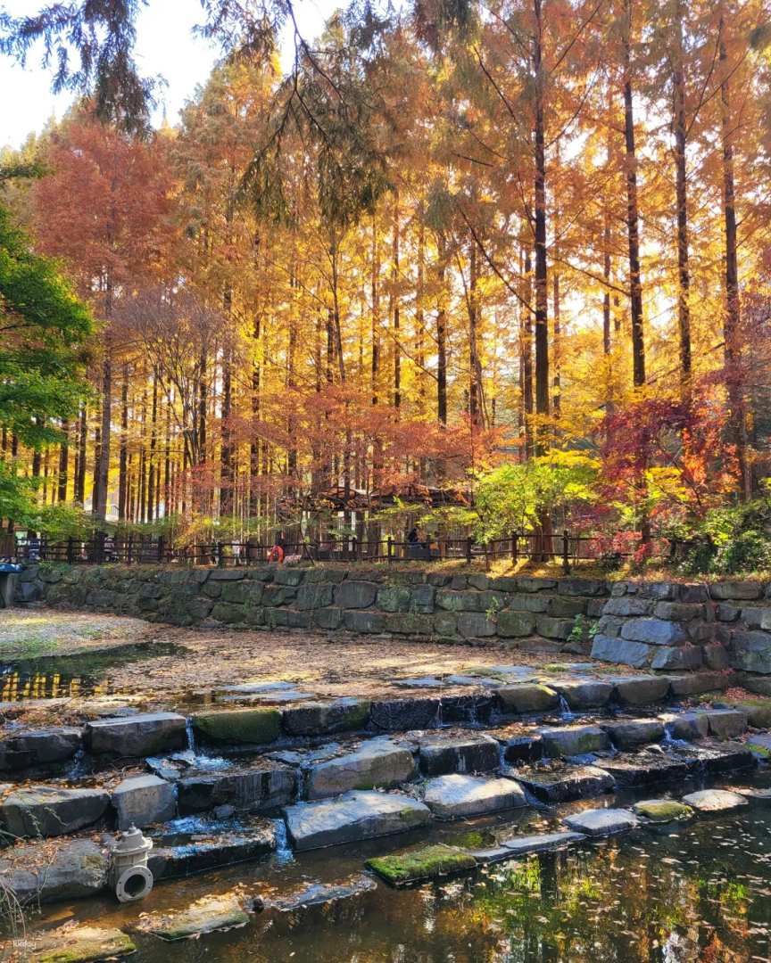 South Korea visa guide — HolidaySG