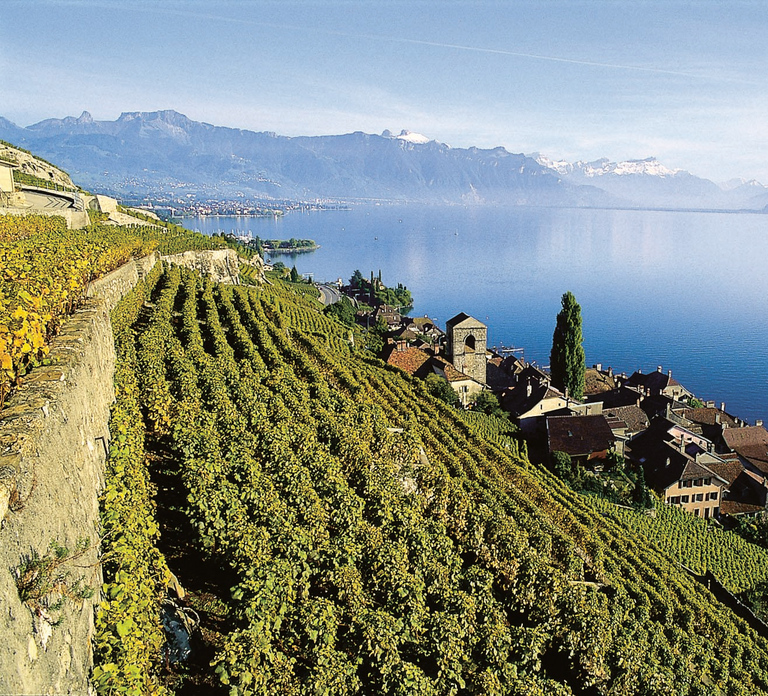 The Swiss Riviera Experience – Exclusive Private Tour