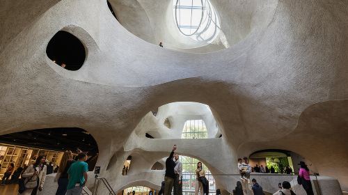 American Museum of Natural History Admission Ticket Day Tours