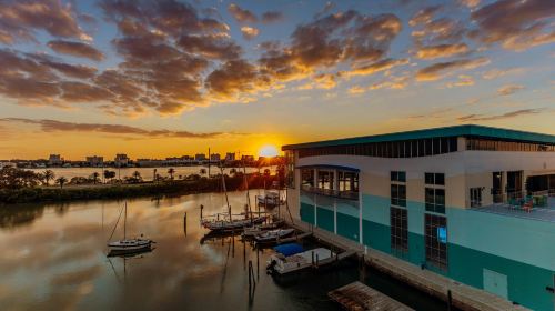 Clearwater Marine Aquarium: Entry Ticket