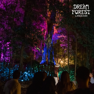 Dream Forest Langkawi - HolidaySG