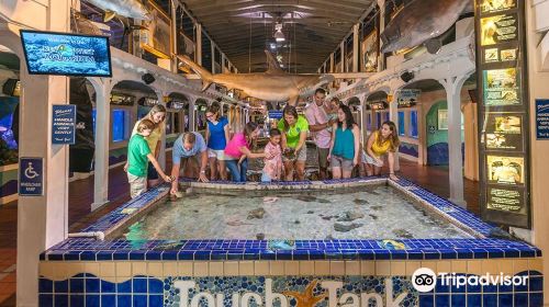 Key West Aquarium