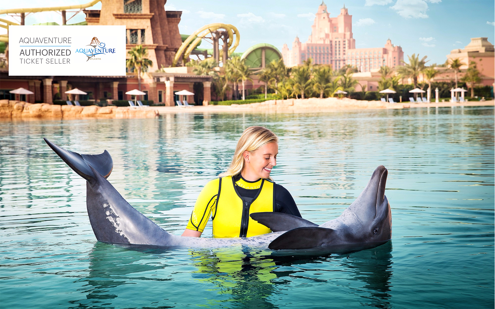 Royal Swim with Dolphins - HolidaySG