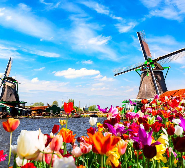 Amsterdam: Zaanse Schans, Windmills & Volendam Private Tour