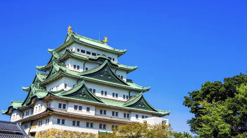 Nagoya Private Custom Tour with Local Guide Day Tours