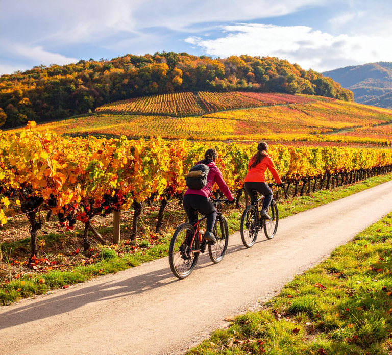 Fronsac: E-bike tour in the vineyards & tasting at La Closerie