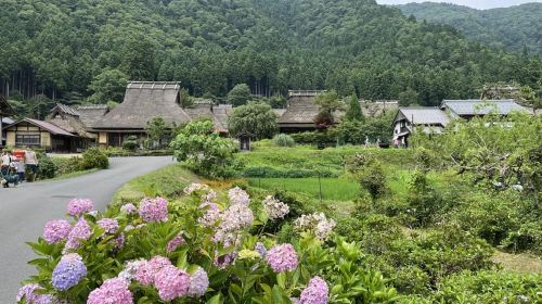 Kyoto Amanohashidate 1-Day Tour from Osaka with Lunch Day Tours