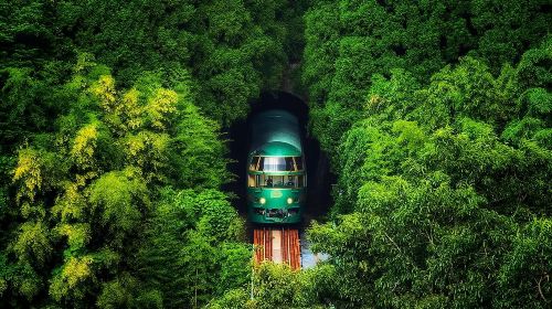 1-day tour to Beppu hells, African safari and Yufuin with Yufuin no Mori train experience