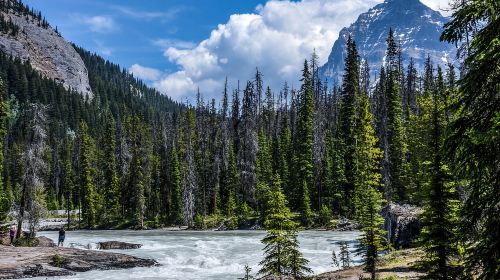 Banff/Calgary:Lake Louise,Moraine Lake,Emerald Lake Day Tour Day Tours