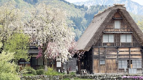 Nagoya Takayama Shirakawa one-day tour| 9-person small group/ bus group Chinese/Mandarin service available Day Tours