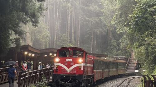 Alishan & Fenchihu Day Tour from Taichung Day Tours - HolidaySG