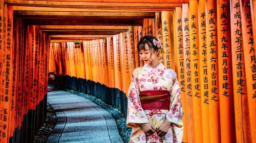 Kyoto morning private guided tour: Avoid the crowds and enjoy a peaceful visit to Fushimi Inari, Nijō Castle, and Kinkaku-ji Day Tours