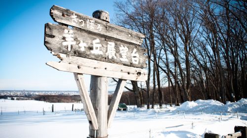 Sapporo Hitsujigaoka Observation Hill - HolidaySG