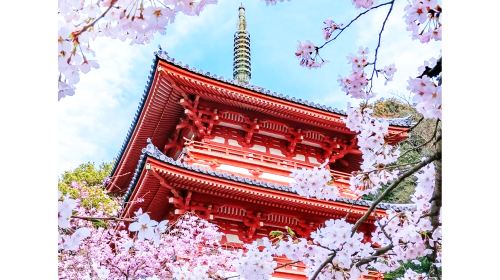 Nara Park Day Tours