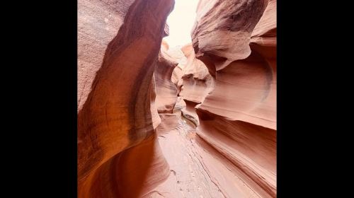Page: Rams Head Canyon Guided Hike Day Tours