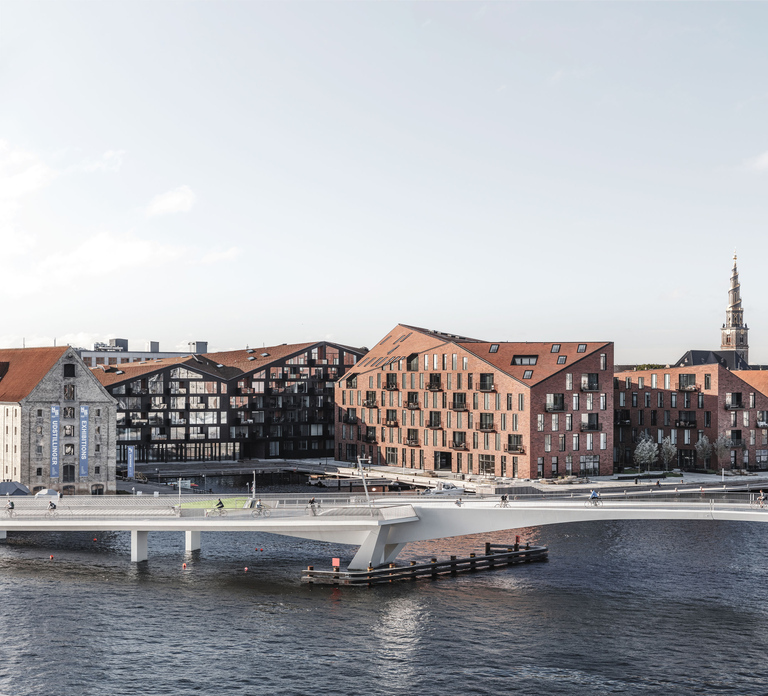 Copenhagen: Harbor Architecture Private Walking Tour