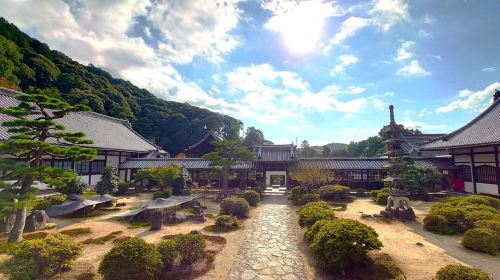 Cycling Tour at Uji's Matcha Green Tea Fields and Heritage Day Tours