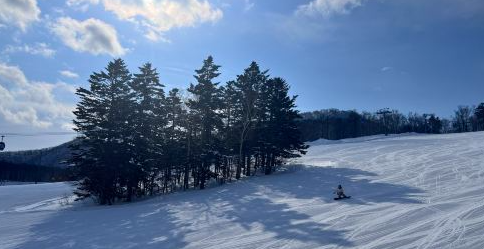 Private Ski Lessons at Mount Moiwa, Hokkaido [Internationally Certified Instructors | Instruction in Chinese/English]