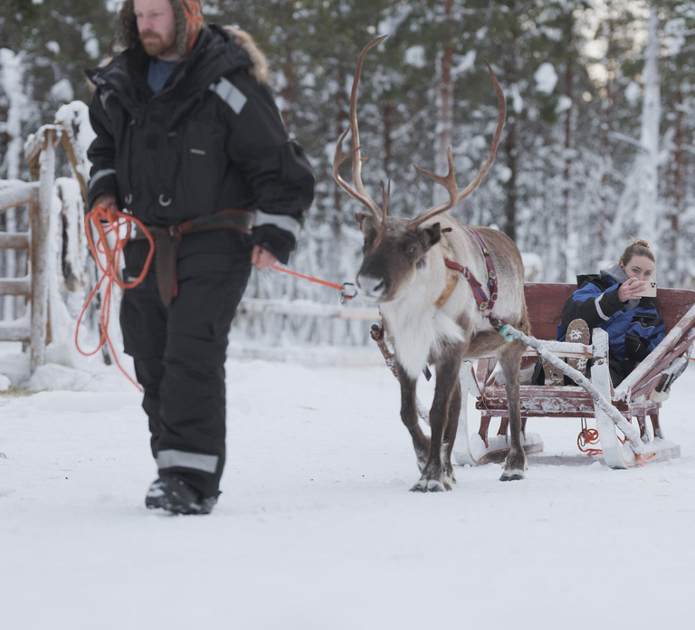 Levi: Lappish Reindeer Sled Ride 3 km
