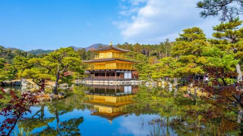 Kobe Shore Excursion to Kyoto: ALL INCLUSIVE Day Tours