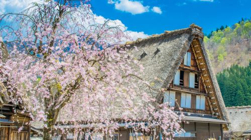 Hida Takayama + Shirakawa-go one-day tour [including meals] Day Tours