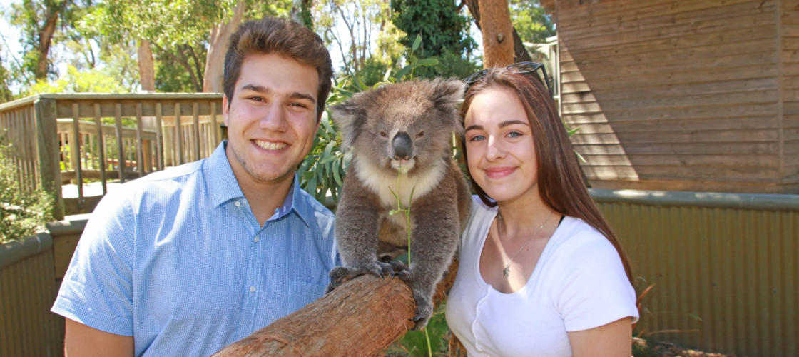 Ballarat Wildlife Park Tickets - HolidaySG