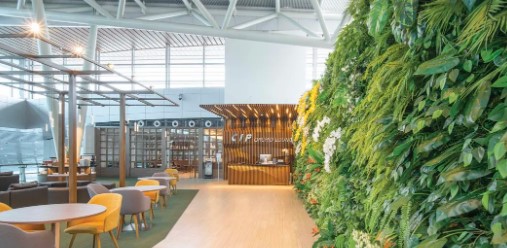 [Taseco] Business Lounge Service at Orchid Lounge in Da Nang International Airport