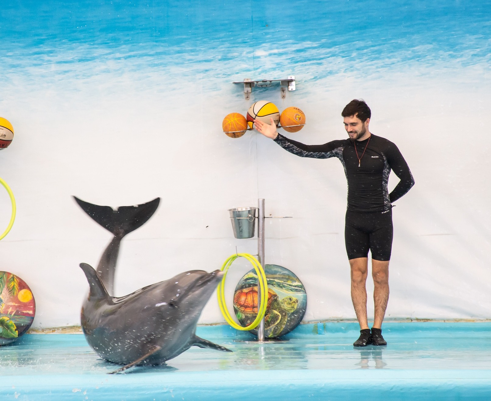 Pattaya Dolphinarium - HolidaySG