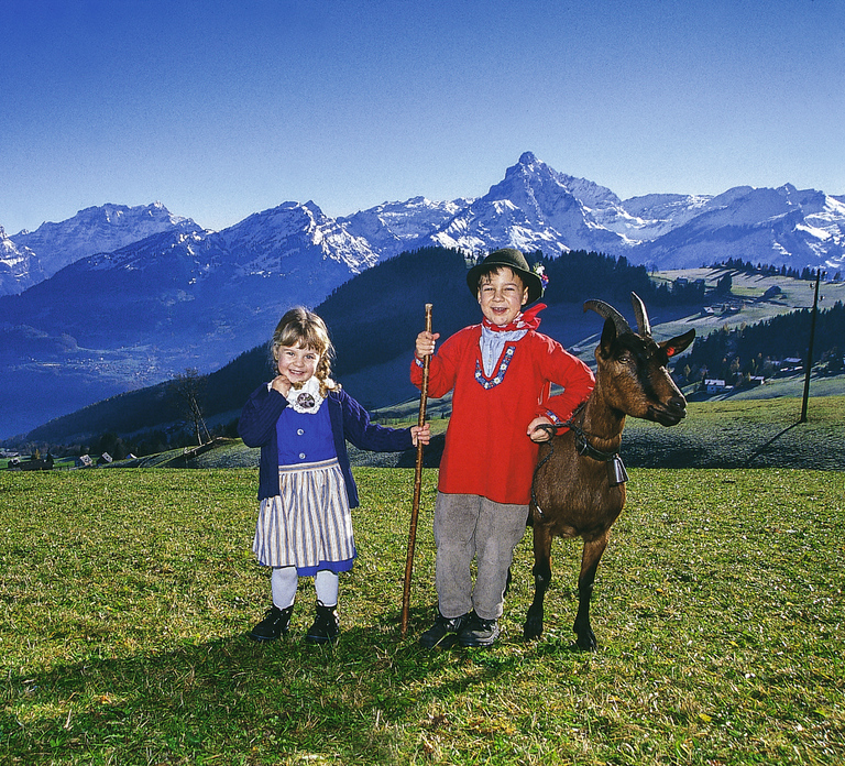From Zurich: Bus Day Trip to Heidiland and Liechtenstein