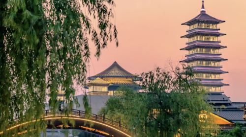 Yangzhou Slender West Lake + Daming Temple + Dongguan Street + Grand Canal one-day tour Nanjing Round-trip guide private charter G Day Tours