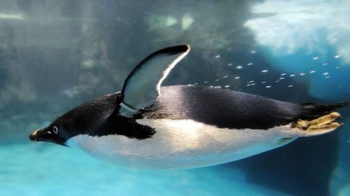 Marine Biology & Aquarium + Eluanbi Park + shared transportation one-day tour[Depart from Kaohsiung] Day Tours