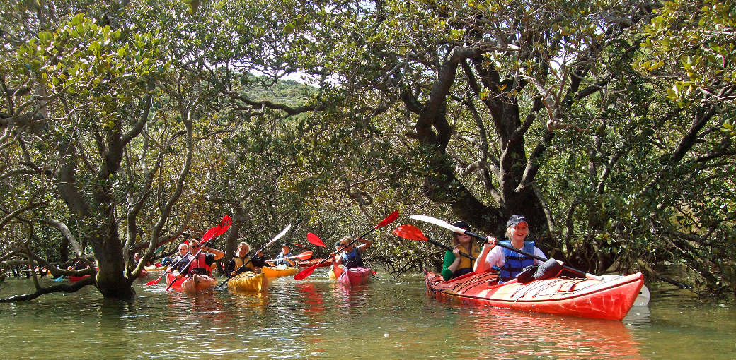 Bay of Islands Half Day Guided Tour - HolidaySG