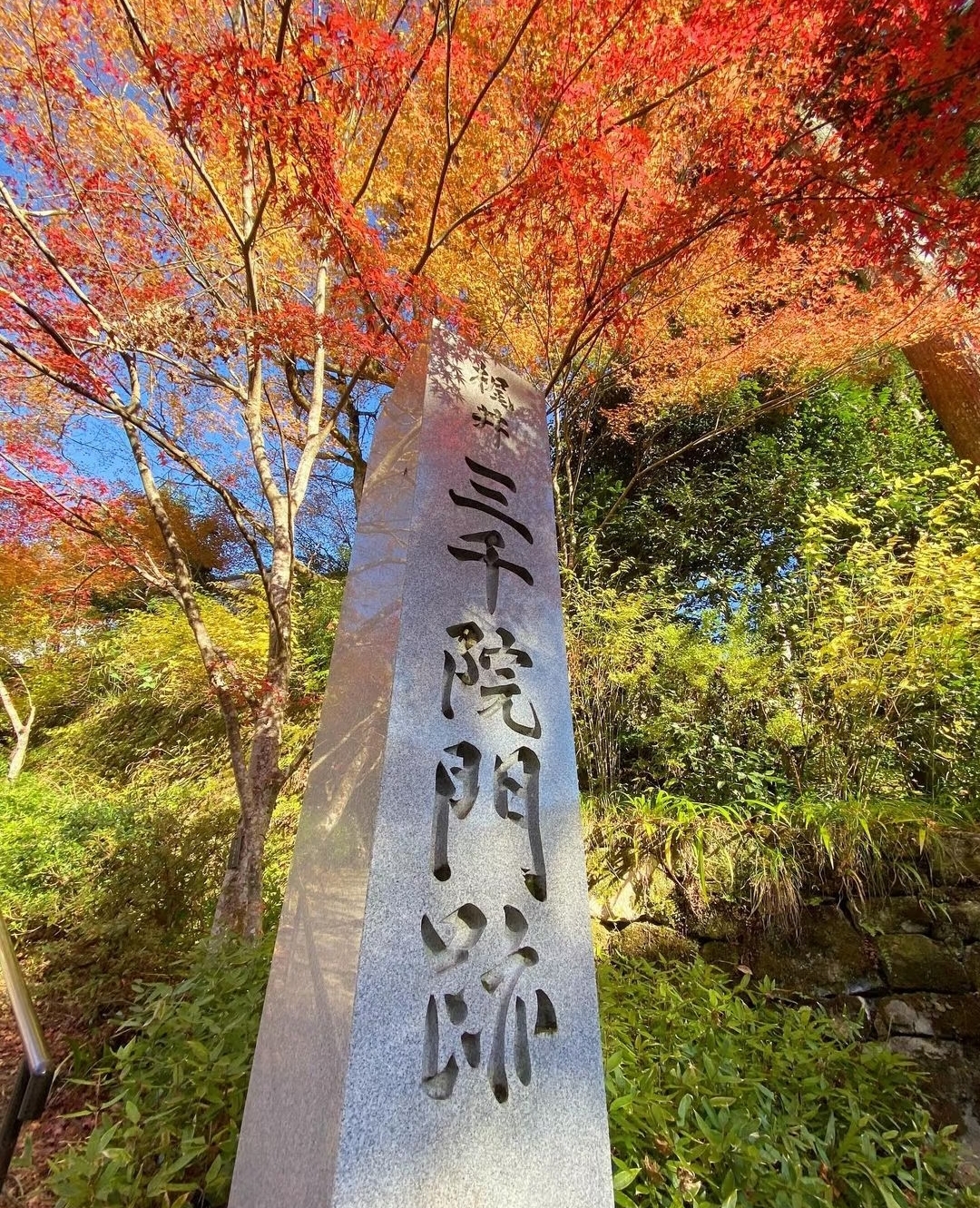 Kyoto Kifune Shrine Arashiyama Sanzen-in Temple Day Trip
