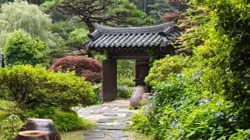 1-day tour around Seoul, South Korea (Petite France + Garden of Morning Calm) Day Tours