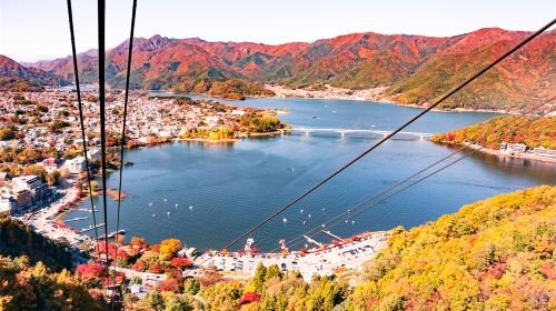 Mount Fuji Panoramic Ropeway, Lake Kawaguchi,Lawson ,Oshino Hakkai One-Day Tour