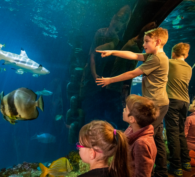 Munich: Day Ticket to Sea Life