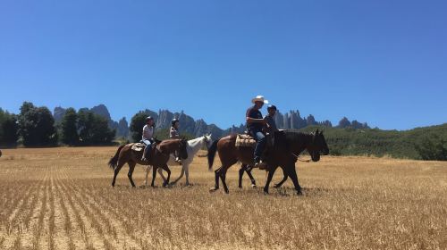 Montserrat National Park Horseback Riding Tour from Barcelona