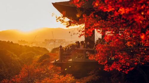 One-Day Tour in Kyoto and Nara (Kiyomizu-dera Temple + Fushimi Inari Taisha + Meet Cute Deer at Nara Park) Day Tours - HolidaySG