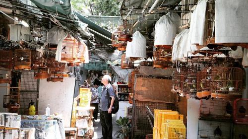 Small-Group Tour: Local Markets Hopping Tour in Hong Kong [2023]