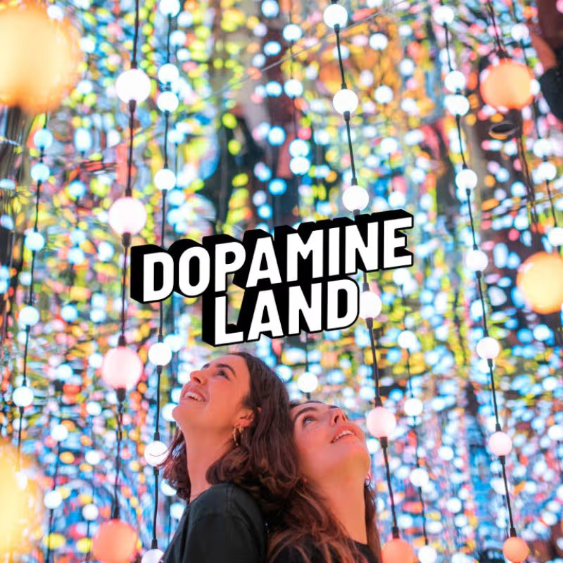 Dopamine Land: A Multisensory Experience in New Jersey