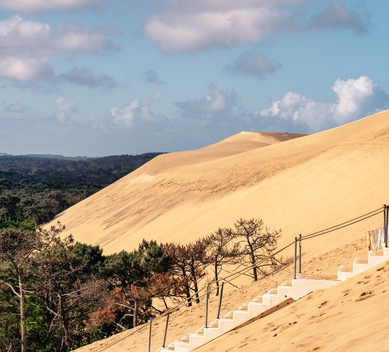 From Bordeaux: Arcachon Bay Full Day Tour and Oyster Lunch