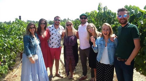 Small-Group Wine Country Tour from San Francisco with Tastings Day Tours