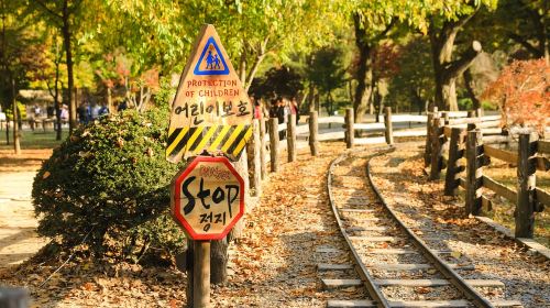 Seoul: Nami Island & Railbike & Begonia Bird Park Day Tour Day Tours